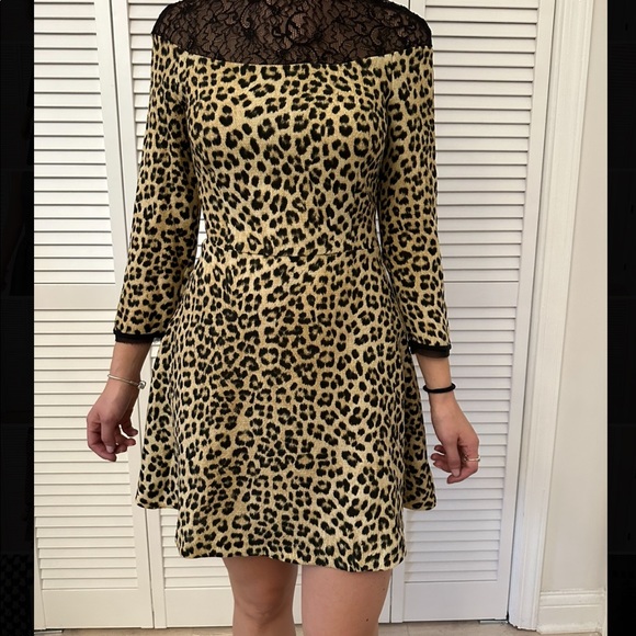 ZARA LEOPARD PRINT DRESS WITH BLACK LACE DETAIL size XS - Picture 5 of 6
